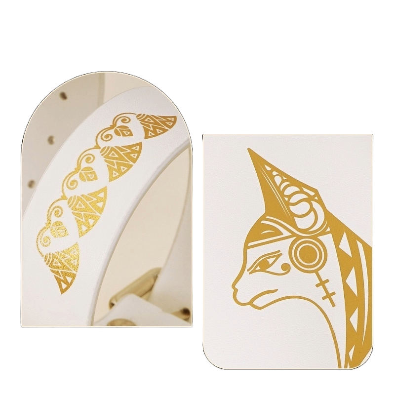 DominaPlay Bondage Starter Set – Whip & Accessories for Adult Play