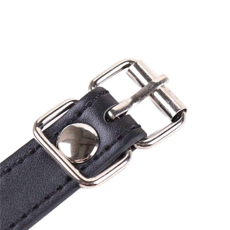 Purple Temptation Mouth Ball & Clip – Leather BDSM Sex Toy for Adults