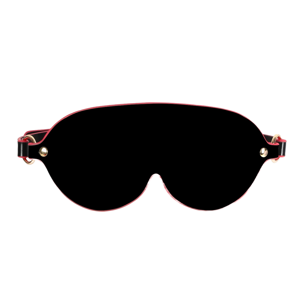 Dominion 8-Piece SM Bondage Set – Handcuffs, Gag, Whip & Collar with Storage Bag