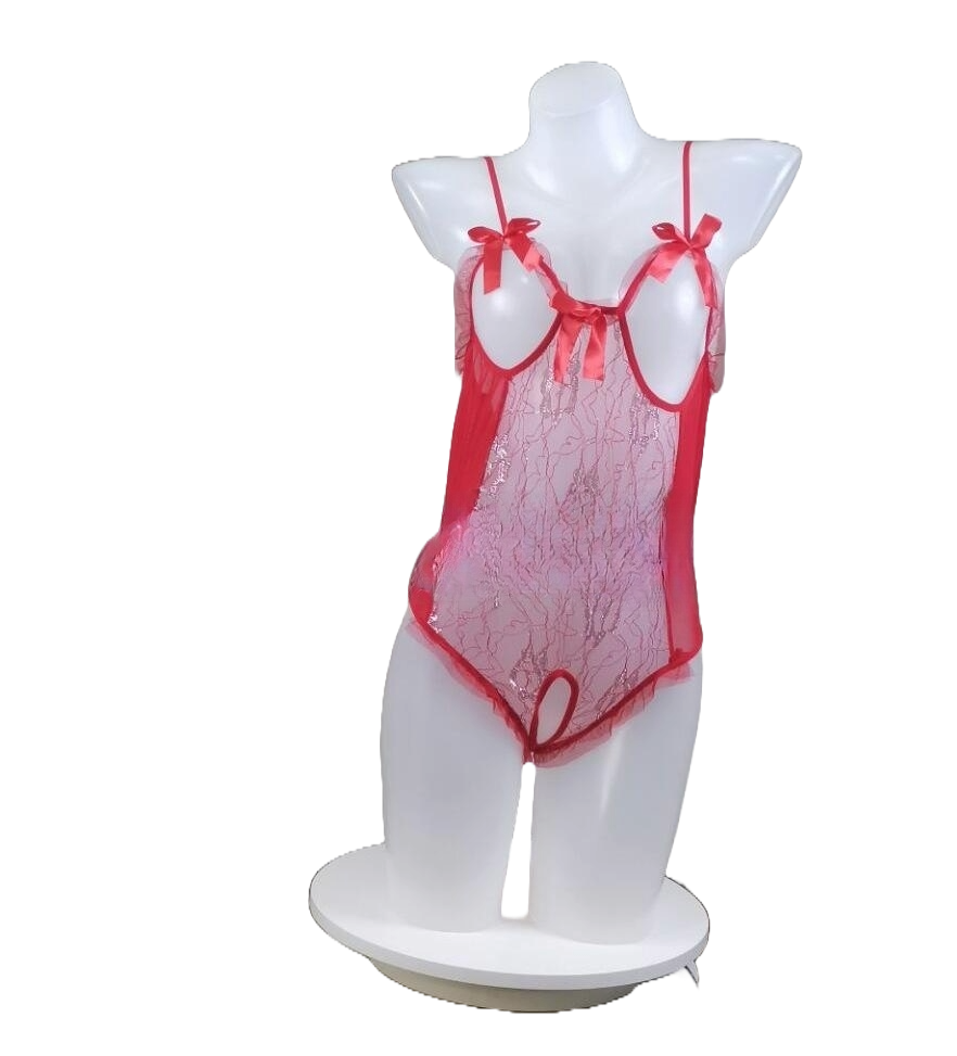 Lace Allure Mesh Bodysuit – Tight Sheer Lingerie for Women