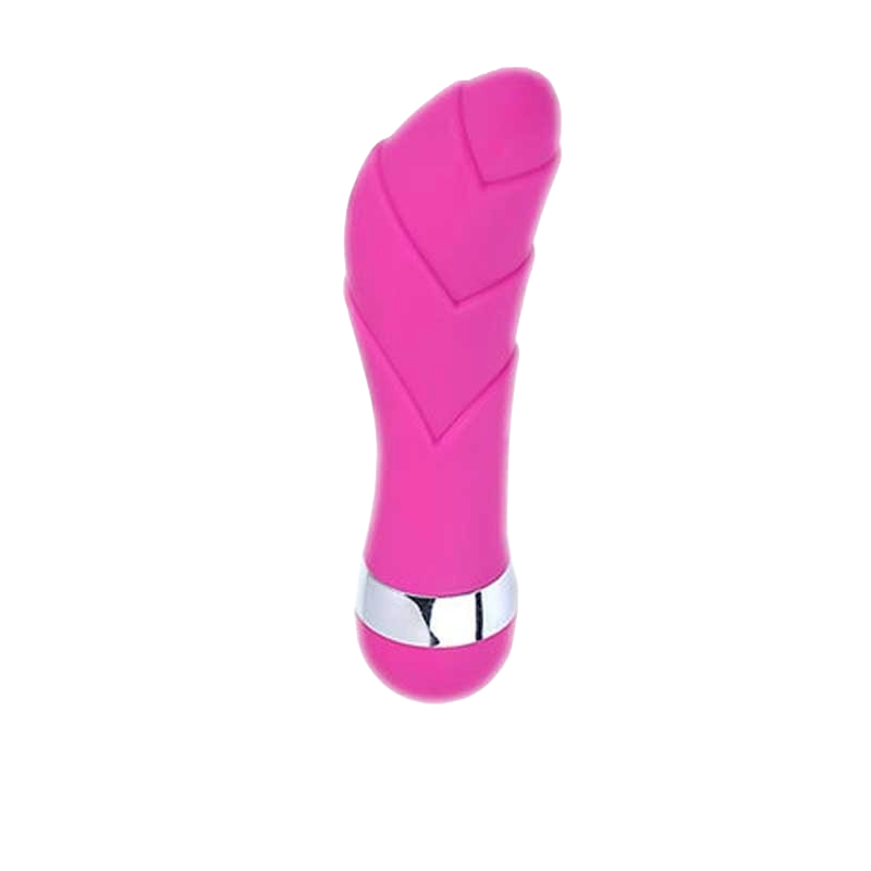 MiniReal Dildo Set – 6 Styles Realistic Vibrators for Women